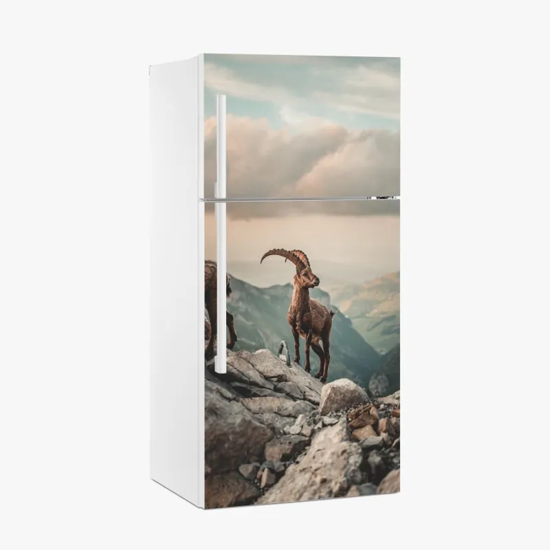 Naklejka na lodówkę kozica alpejska na skalistym grzbiecie
