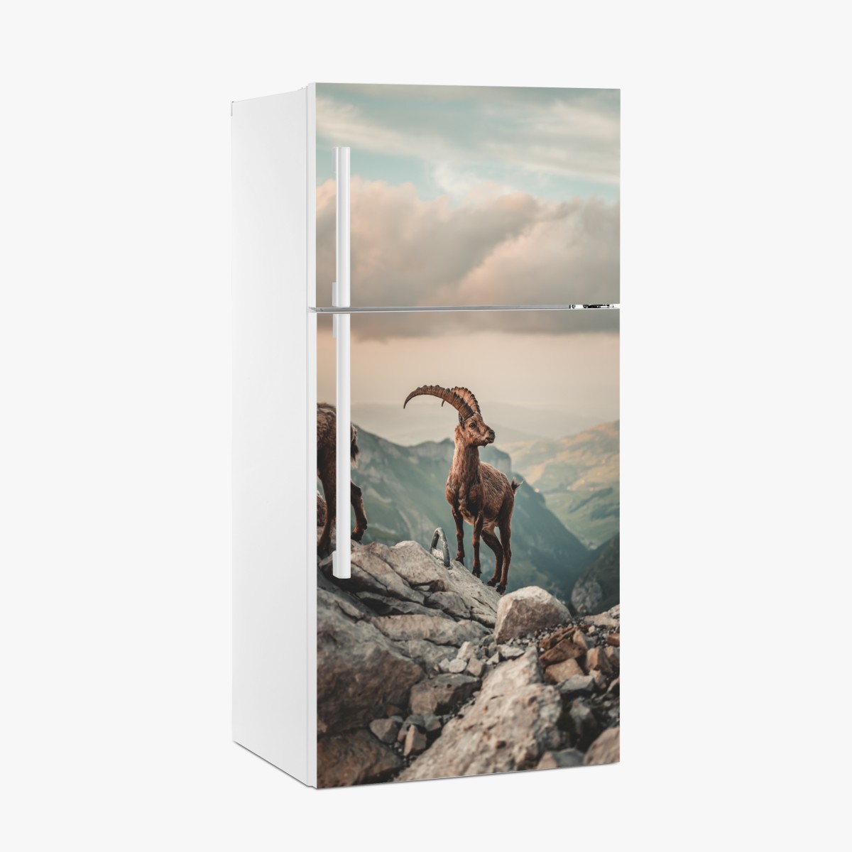 Fridge sticker mountain ibex on a rocky ridge – Wallissimo®