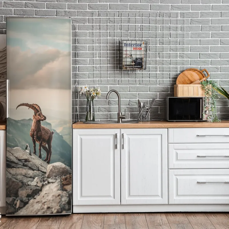 Naklejka na lodówkę czarno-biały kaktus w zbliżeniu – Wallissimo®