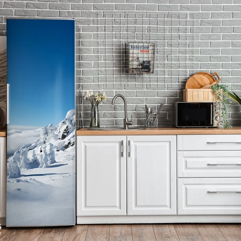 Naklejka na lodówkę kolorowy abstrakcyjny portret twarzy – Wallissimo®