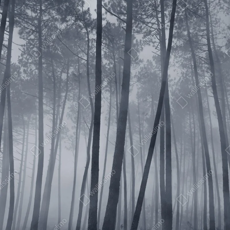 Naklejka na lodówkę mglisty sosnowy las nocą – Wallissimo® Naklejka na lodówkę mglisty sosnowy las nocą – Wallissimo®