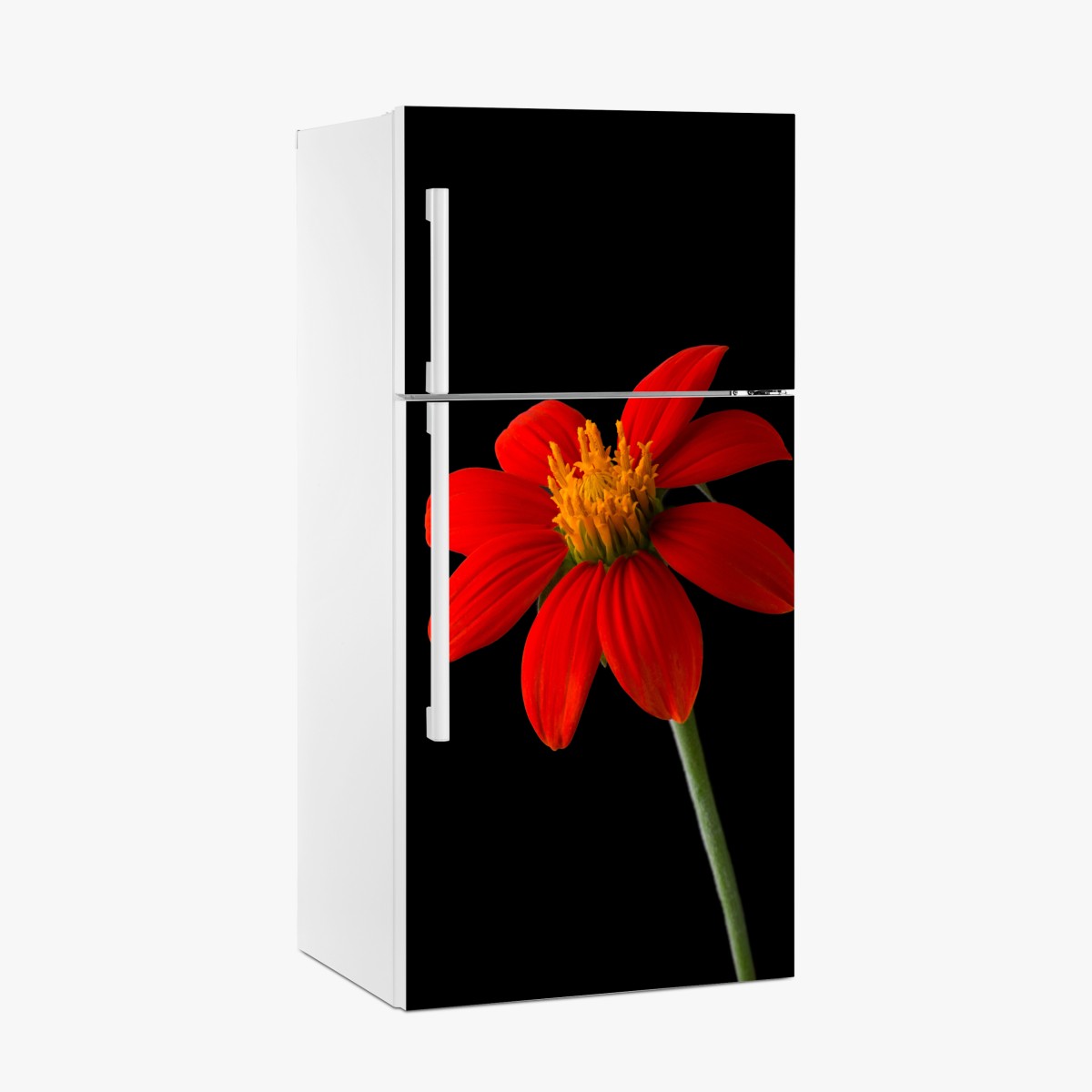 Fridge sticker vivid mexican sunflower on black background – Wallissimo®