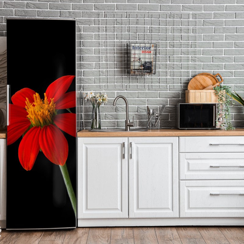 Naklejka na lodówkę żywy słonecznik meksykański na czarnym tle – Wallissimo® Naklejka na lodówkę żywy słonecznik meksykański na czarnym tle – Wallissimo®