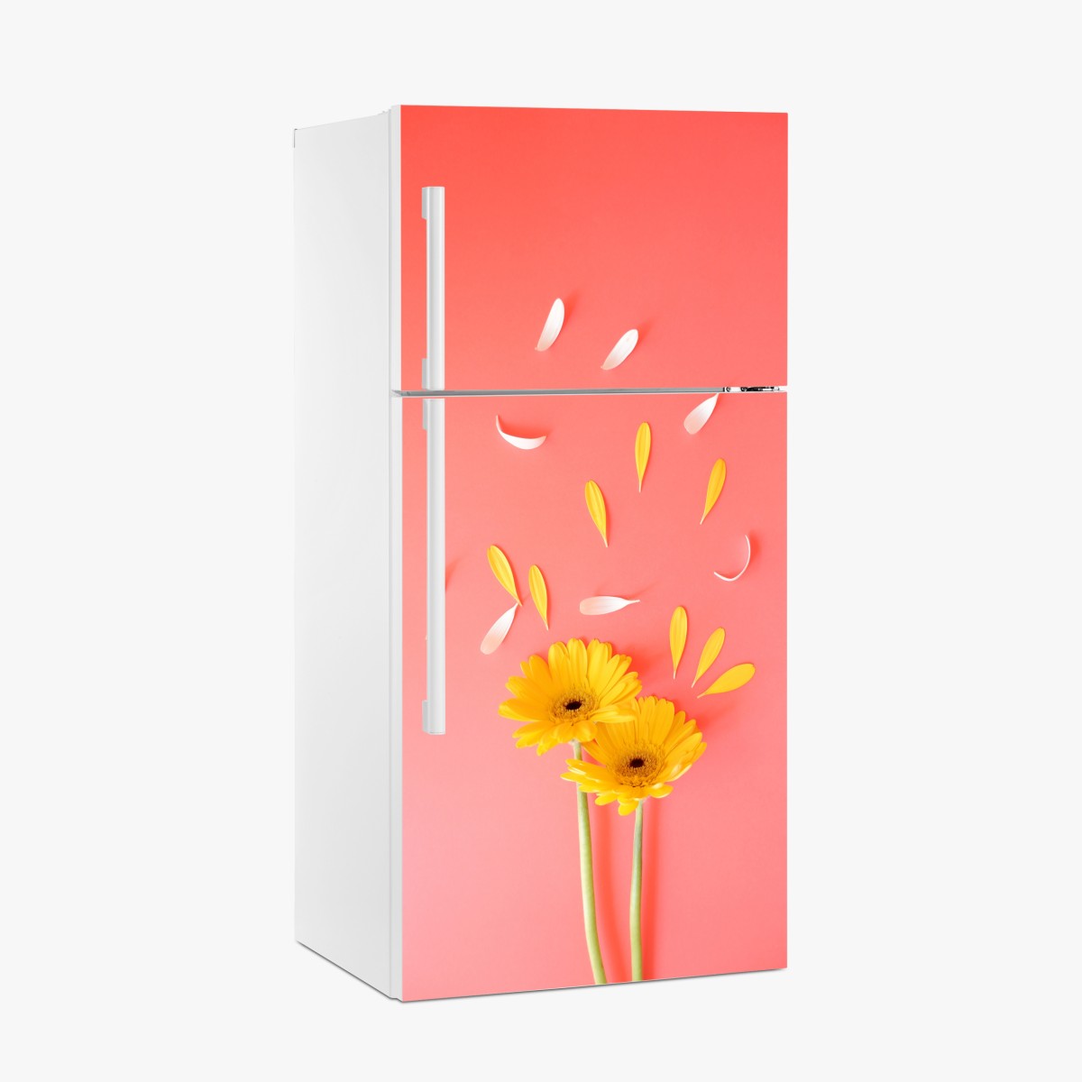 Fridge sticker sunny yellow gerbera on coral background – Wallissimo®