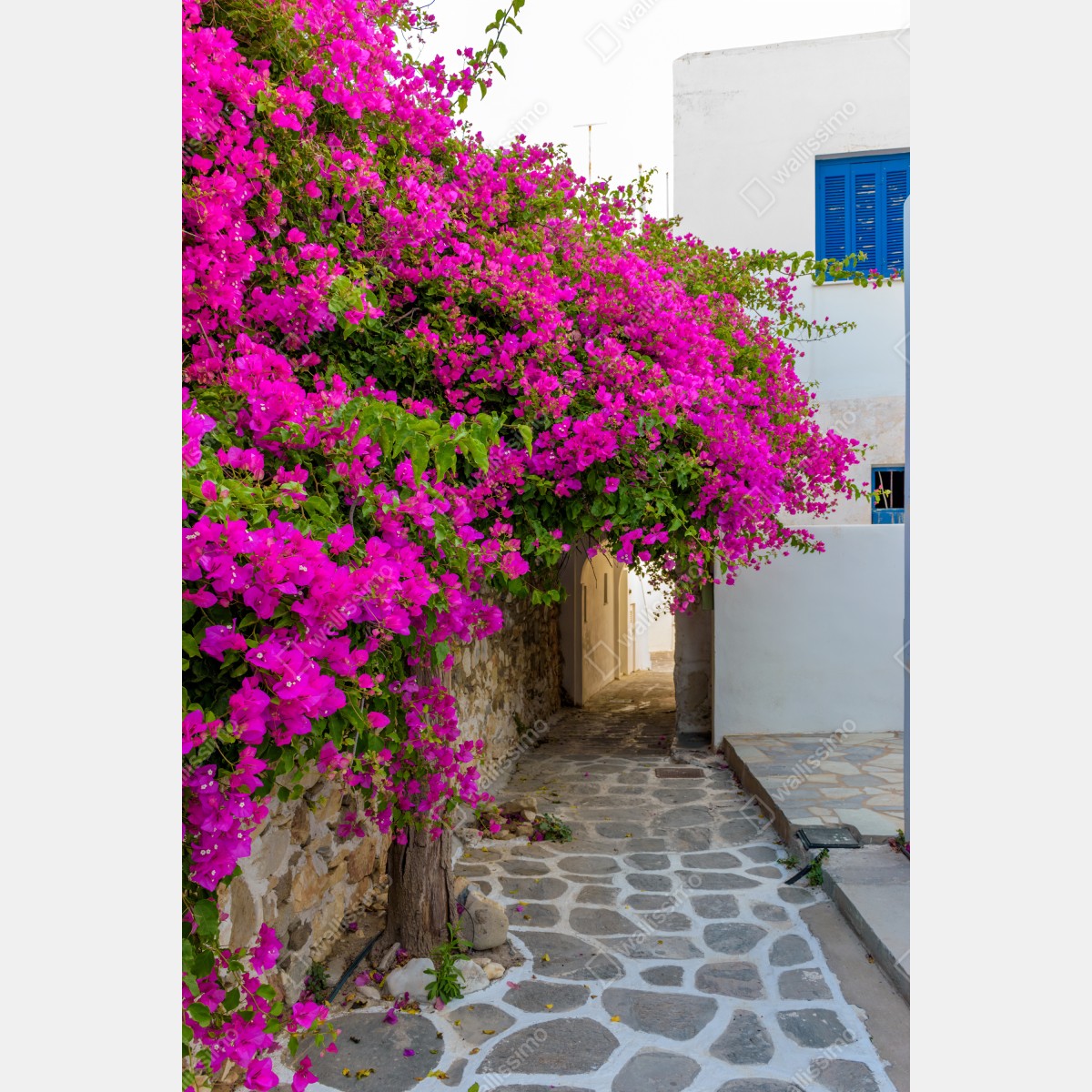 Naklejka na lodówkę kwitnąca bugenwilla w uliczce Naousa – Wallissimo® Naklejka na lodówkę kwitnąca bugenwilla w uliczce Naousa – Wallissimo®