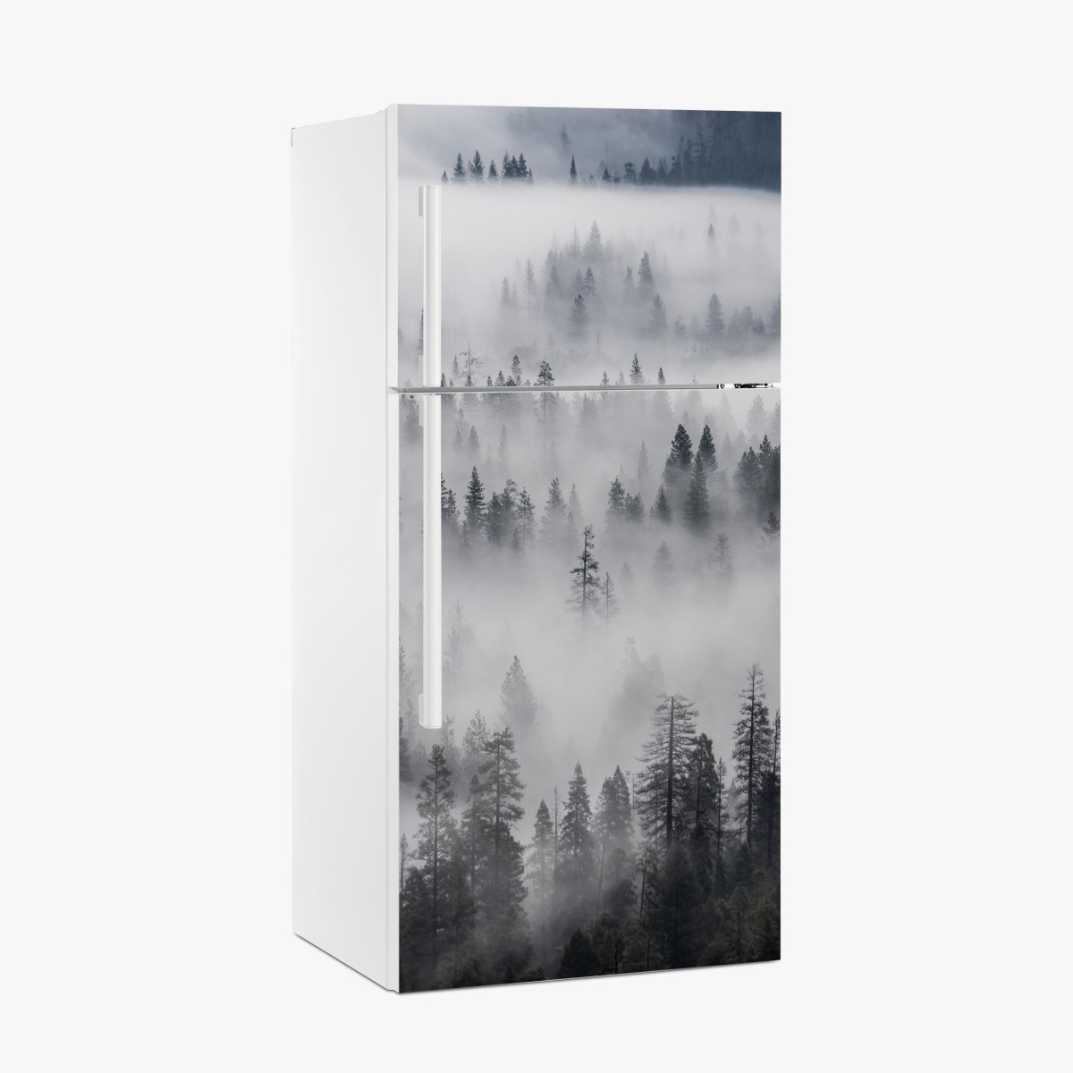 Fridge sticker mist-shrouded pine forest – Wallissimo®