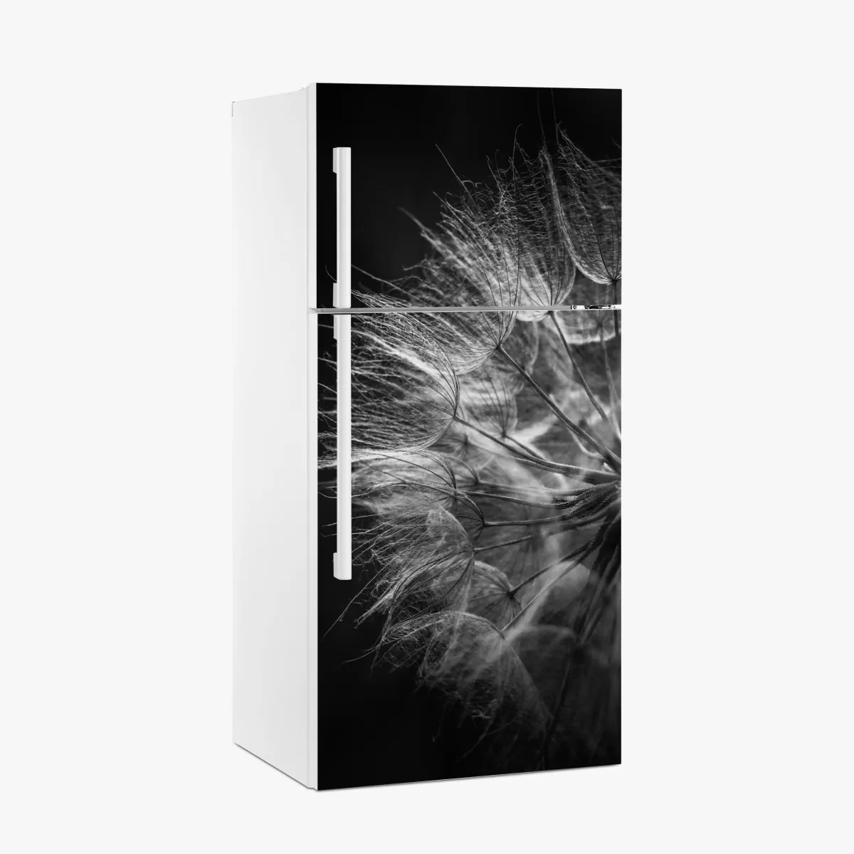 Naklejka na lodówkę delikatny puch dmuchawca w monochromie – Wallissimo® Naklejka na lodówkę delikatny puch dmuchawca w monochromie – Wallissimo®