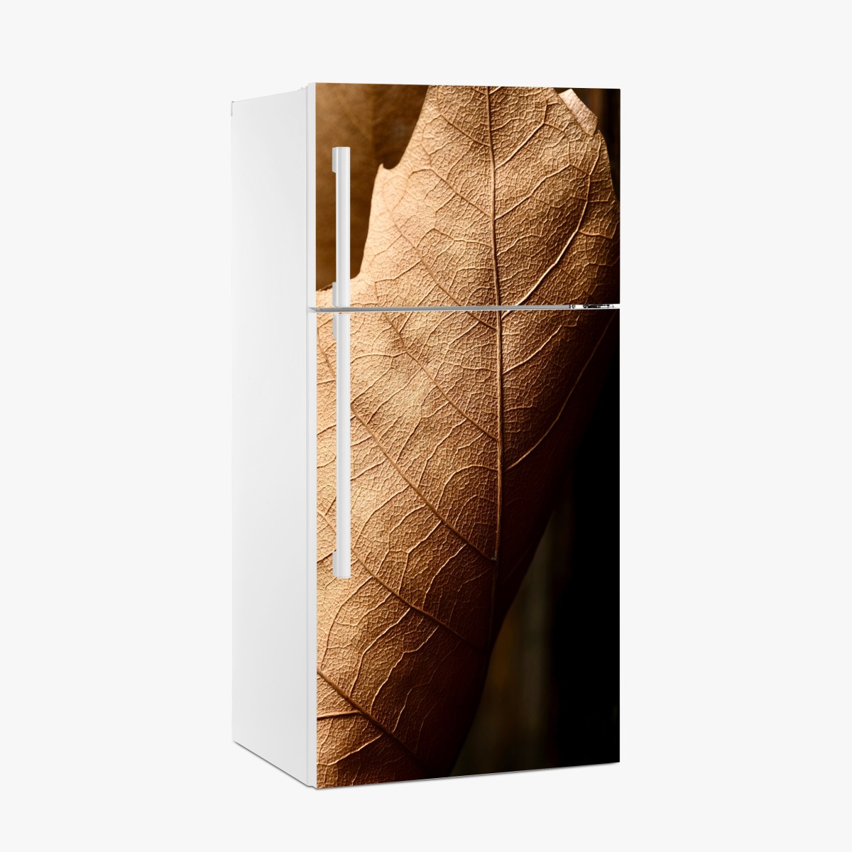 Fridge sticker textured dried leaf close-up – Wallissimo®