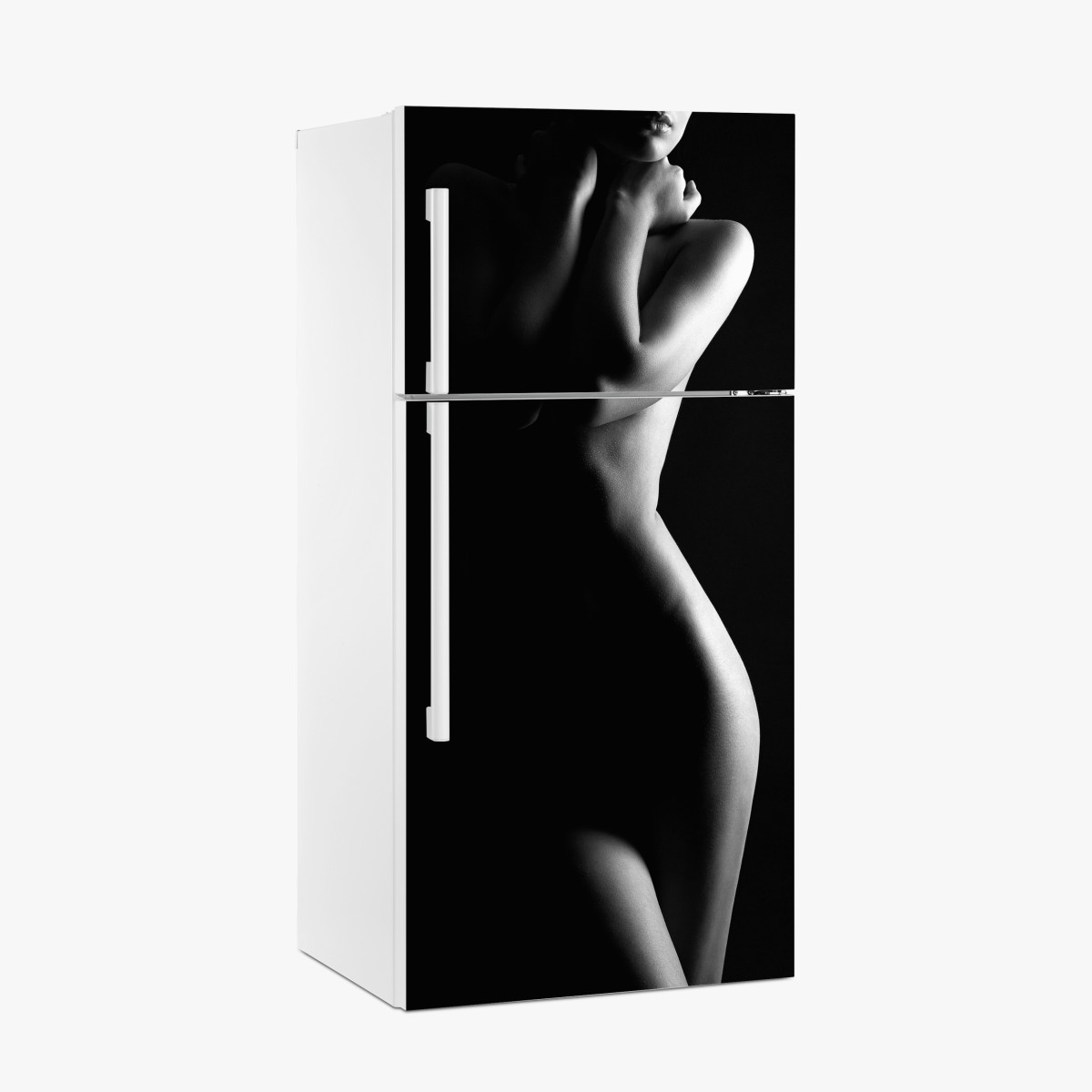 Fridge sticker sensual silhouette of a female form – Wallissimo®