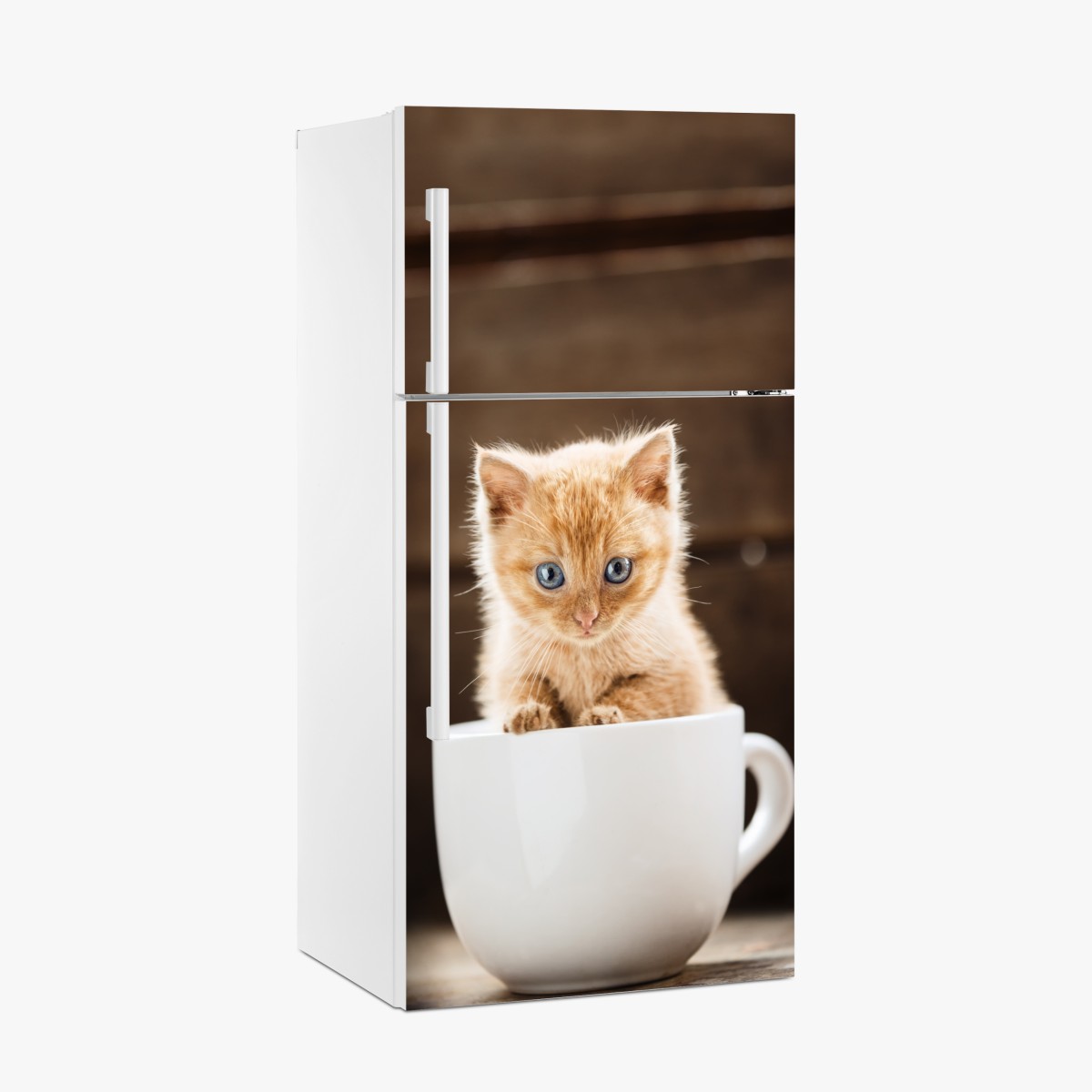 Fridge sticker ginger kitten in a teacup – Wallissimo®