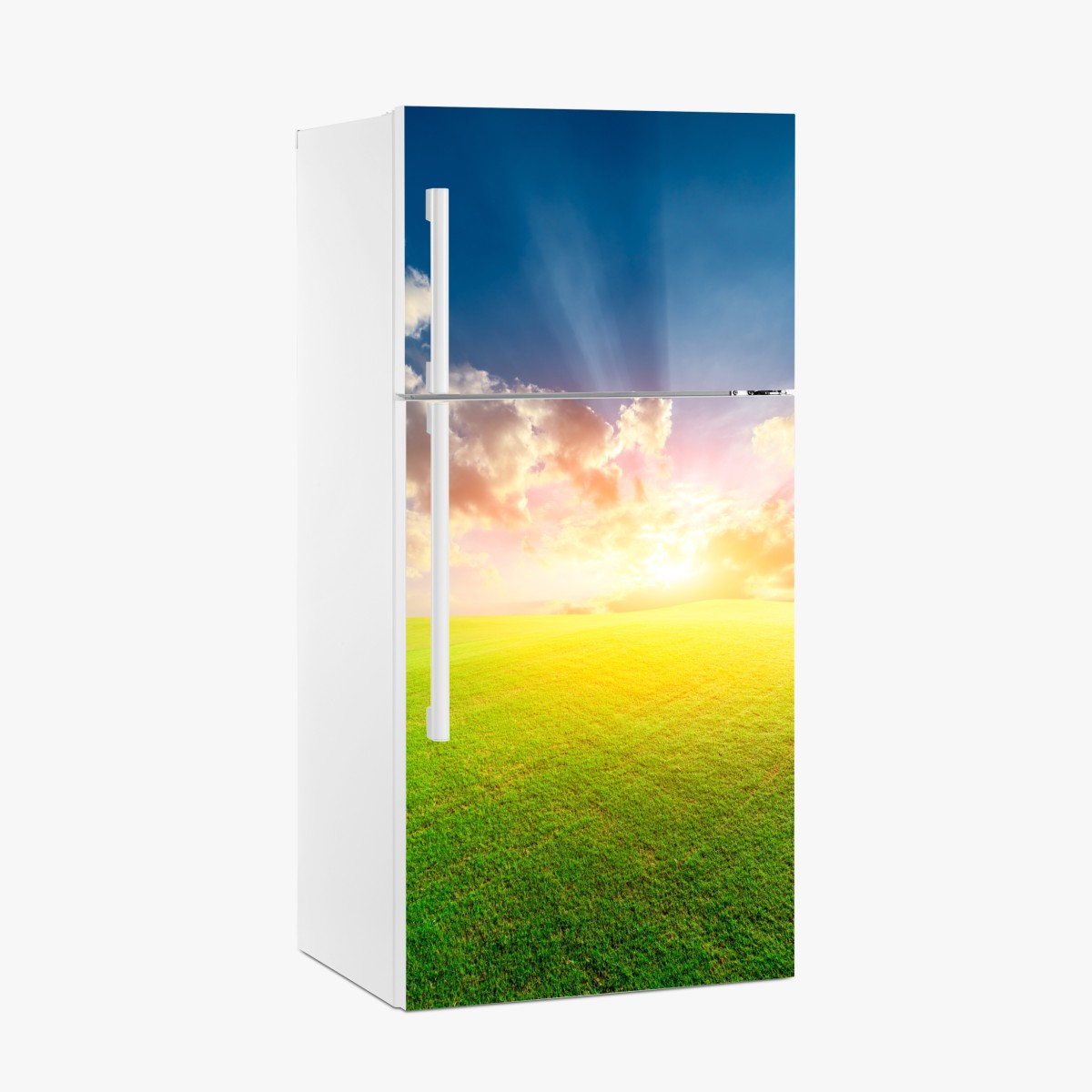 Fridge sticker sunlit meadow at sunset – Wallissimo®