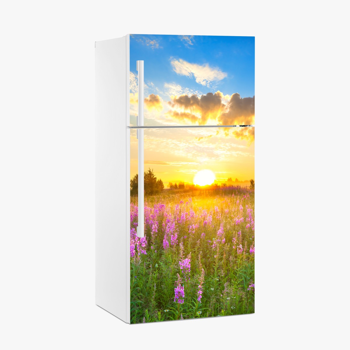 Fridge sticker sunrise in a purple wildflower meadow – Wallissimo®