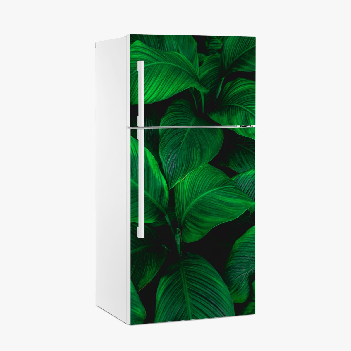 Fridge sticker lush tropical leaves wall art – Wallissimo®