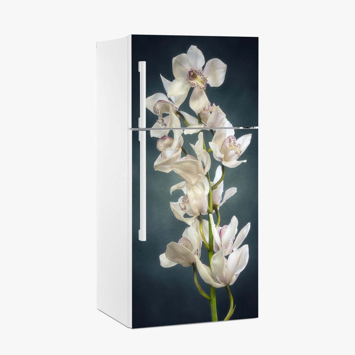 Fridge sticker delicate white orchids on teal background – Wallissimo®