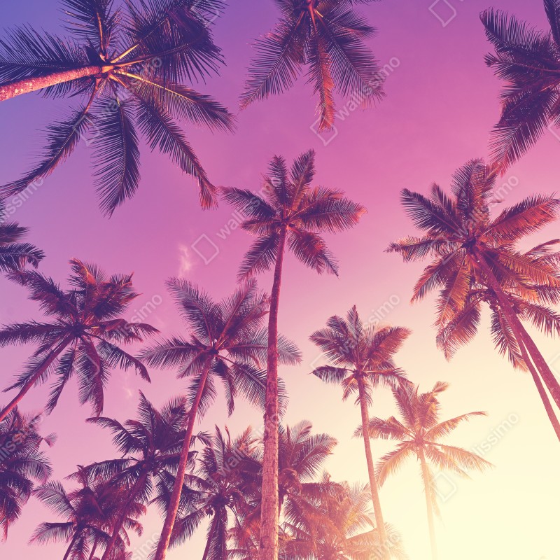 Naklejka na lodówkę tropikalne palmy o zachodzie słońca – Wallissimo® Naklejka na lodówkę tropikalne palmy o zachodzie słońca – Wallissimo®