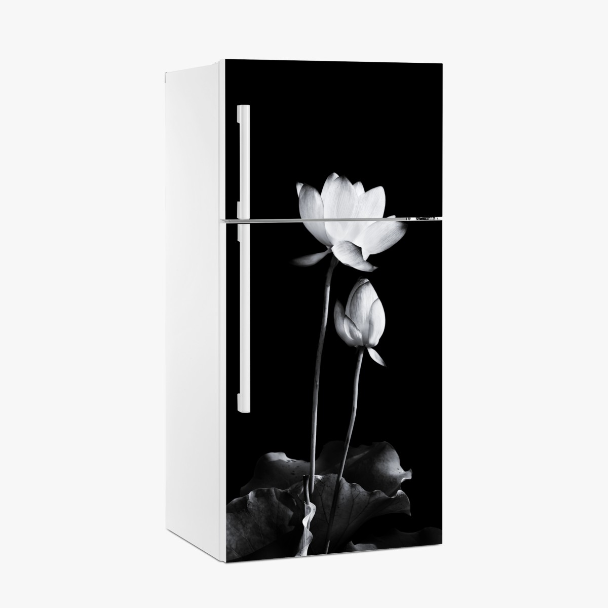 Fridge sticker white lotus in monochrome – Wallissimo®