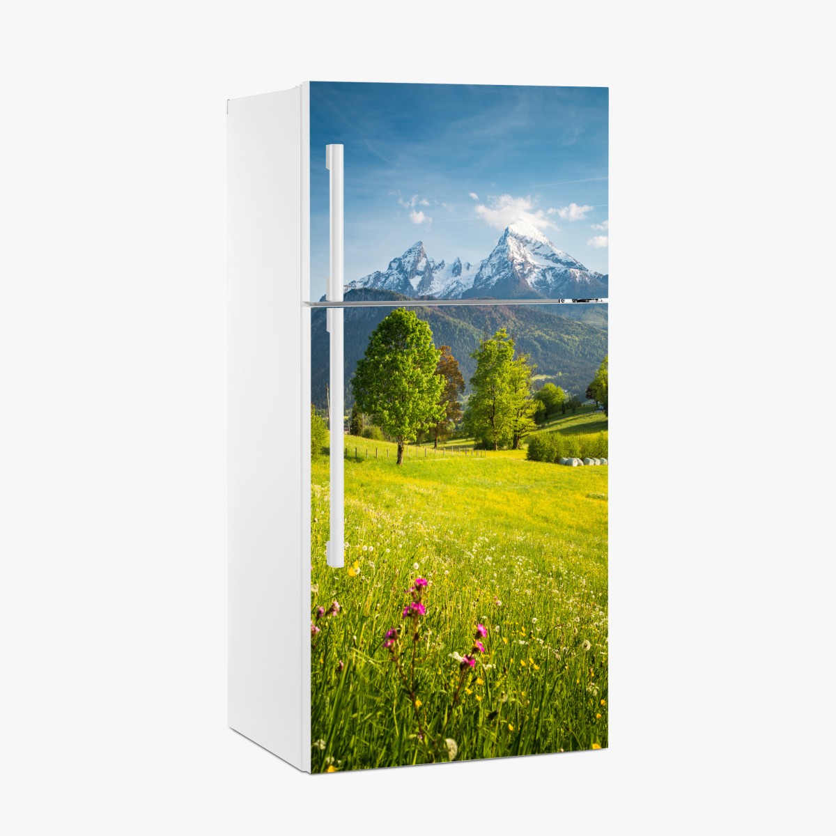 Fridge sticker alpine spring meadow beneath snowcapped peaks – Wallissimo®