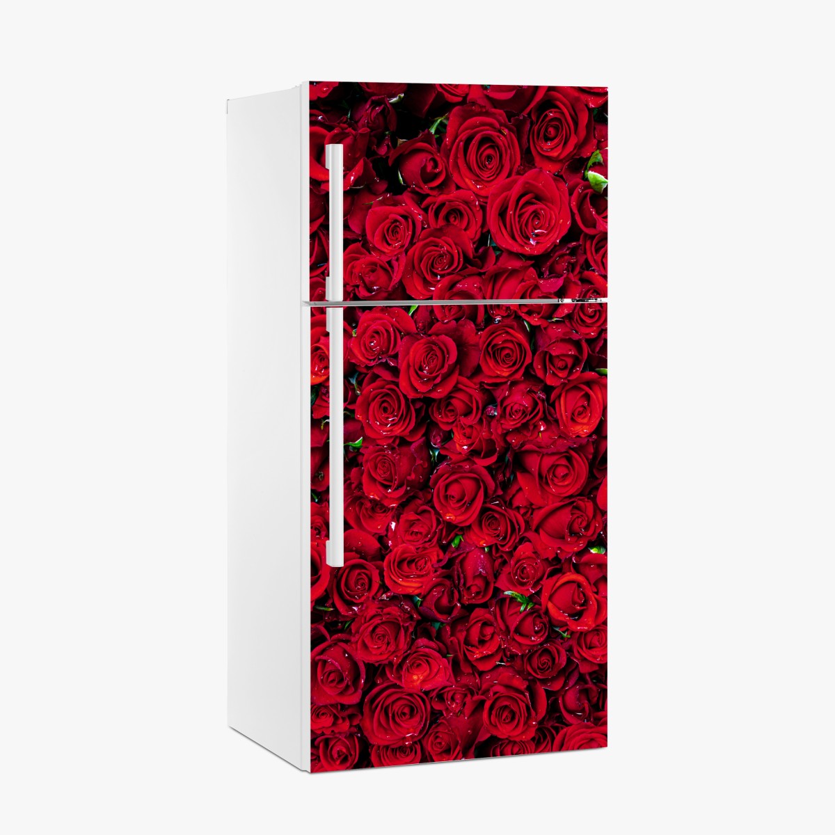 Fridge sticker lush red roses close-up – Wallissimo®