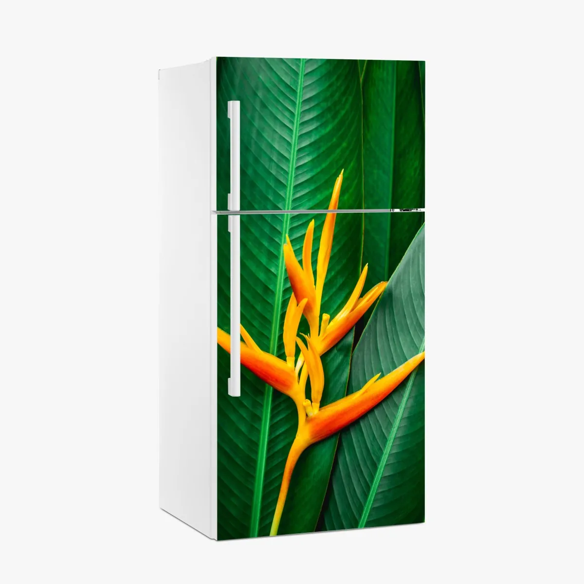 Naklejka na lodówkę żywa heliconia na zielonych liściach – Wallissimo® Naklejka na lodówkę żywa heliconia na zielonych liściach – Wallissimo®