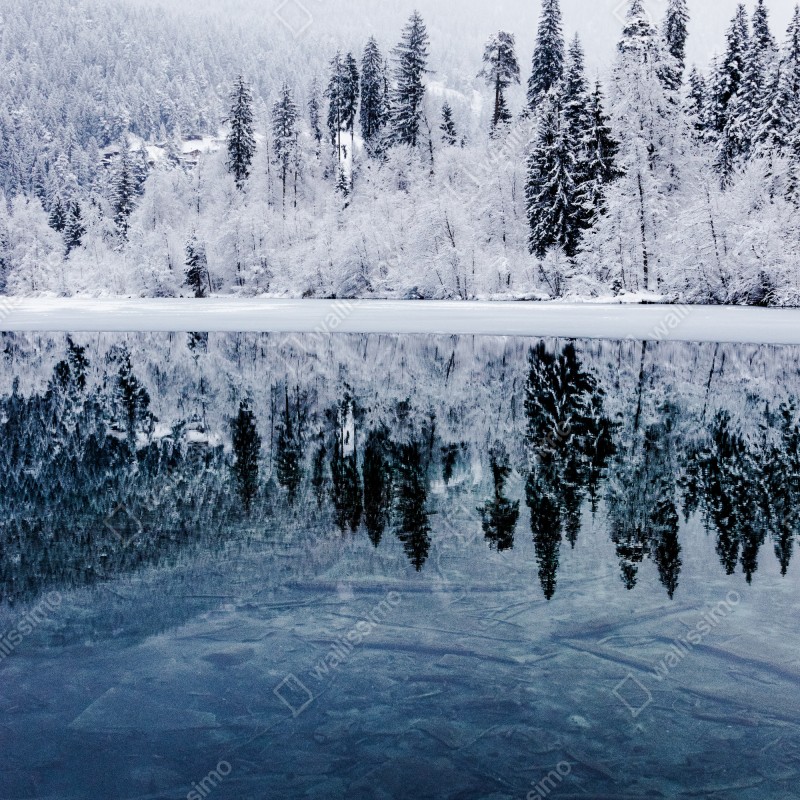 Naklejka na lodówkę zimowe jezioro z odbiciem w śnieżnym lesie – Wallissimo® Naklejka na lodówkę zimowe jezioro z odbiciem w śnieżnym lesie – Wallissimo®