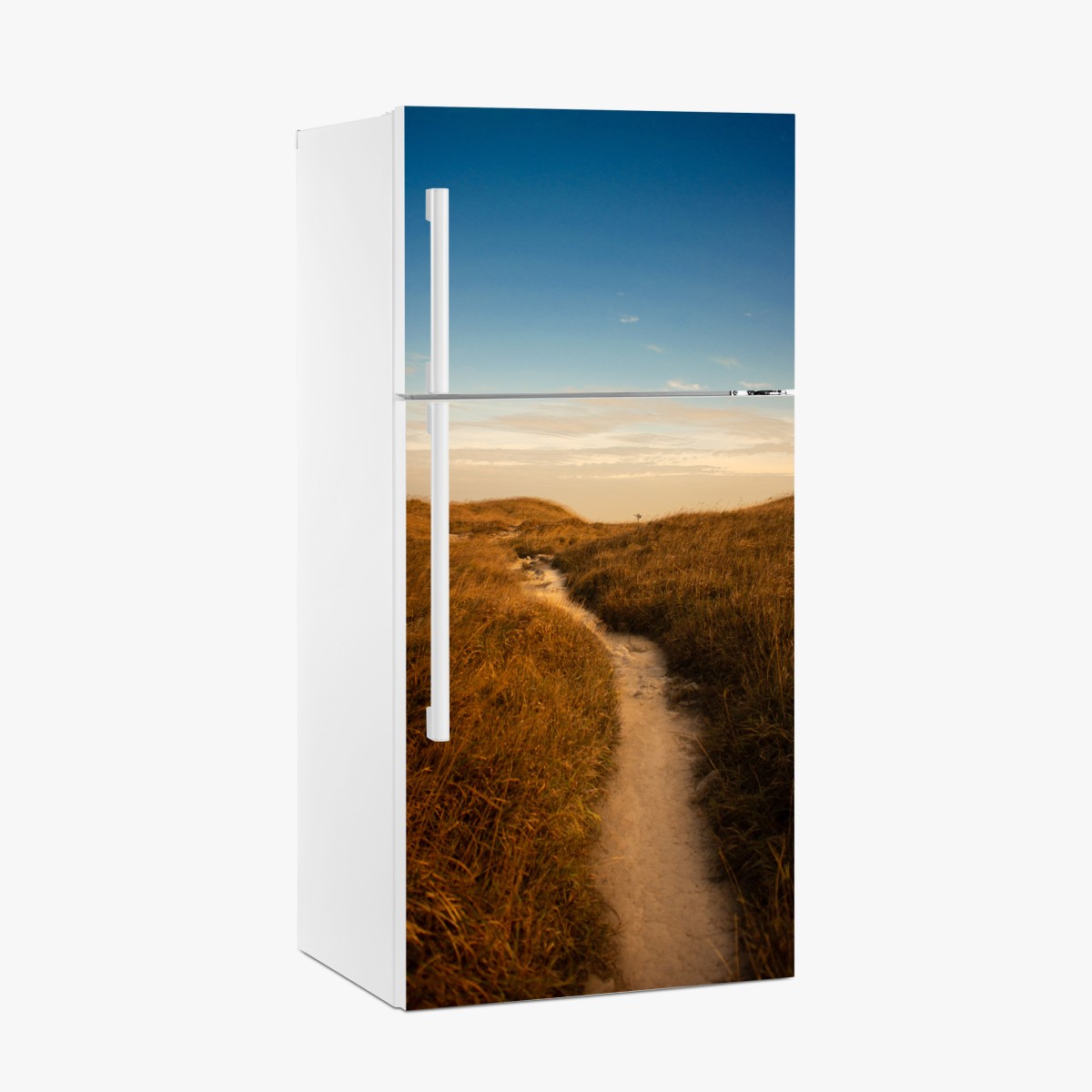 Fridge sticker sunlit dune path to the coast – Wallissimo®