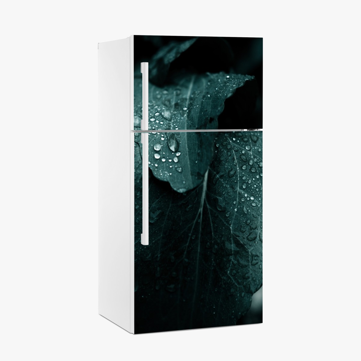 Fridge sticker teal dewdrops on leaves – Wallissimo®