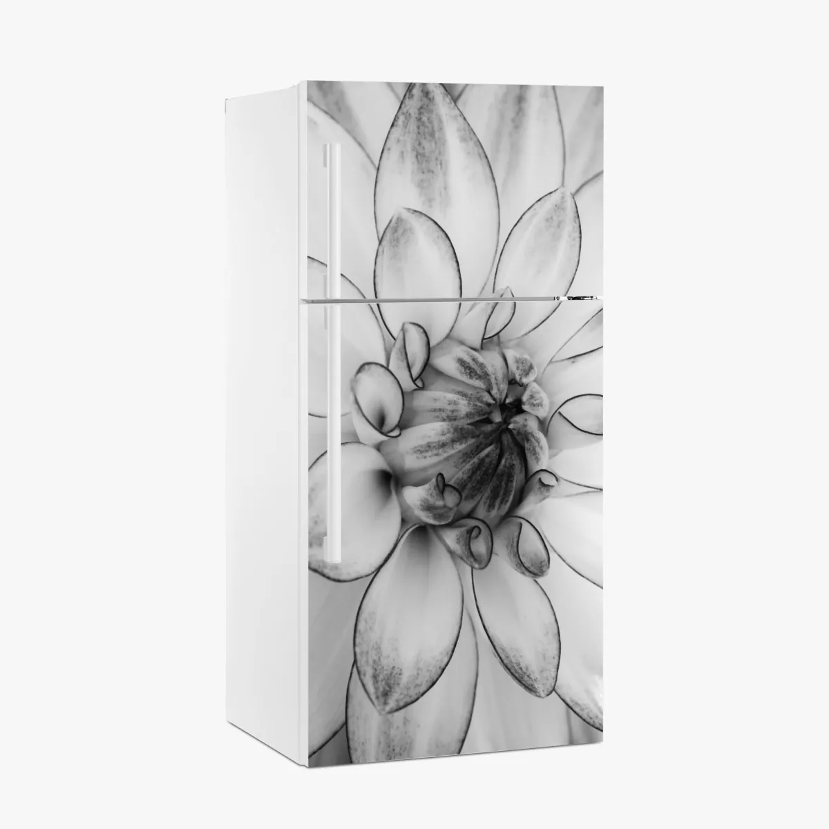 Naklejka na lodówkę monochromatyczne zbliżenie dalii – Wallissimo® Naklejka na lodówkę monochromatyczne zbliżenie dalii – Wallissimo®