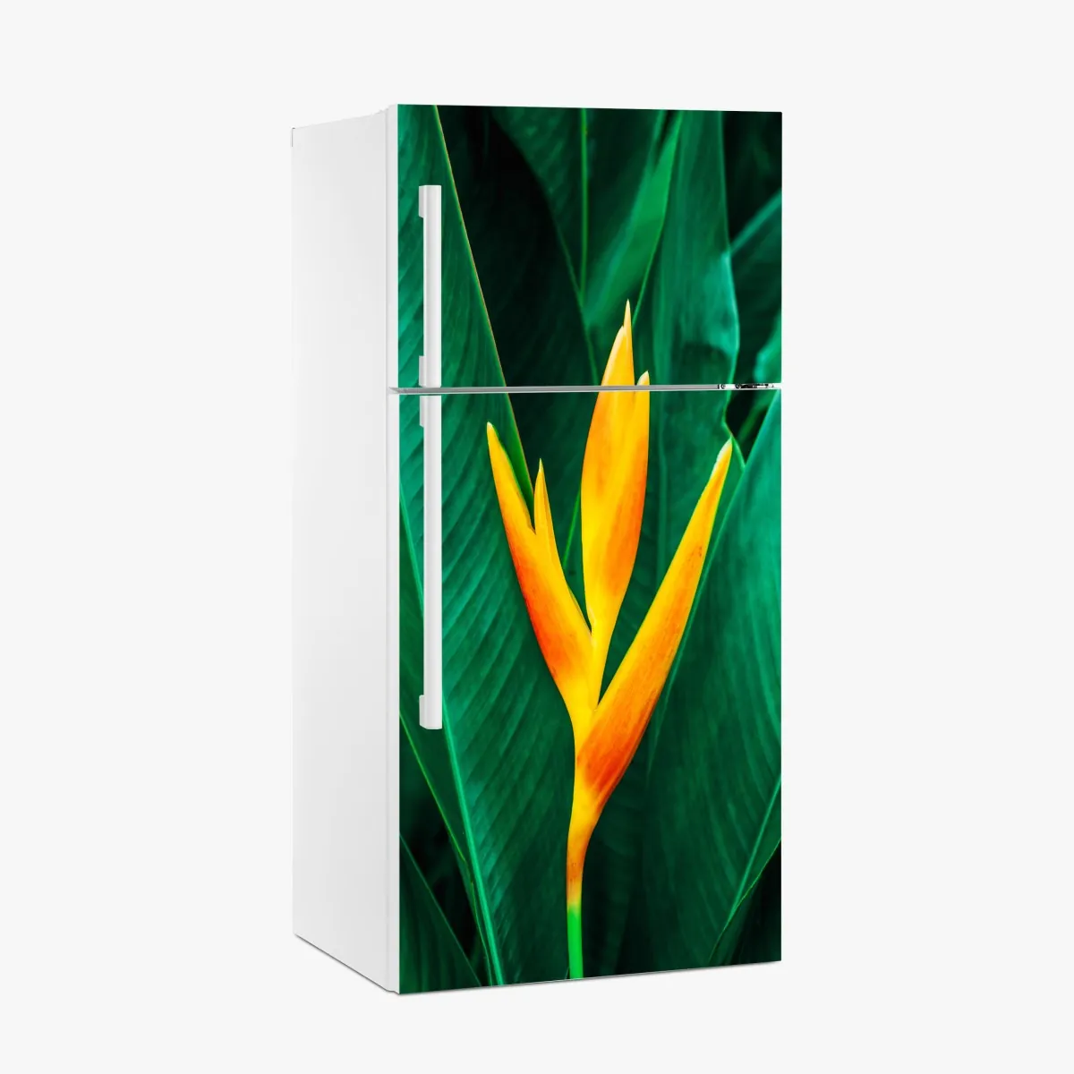 Naklejka na lodówkę żywy tropikalny kwiat heliconia na tle zielonych liści – Wallissimo® Naklejka na lodówkę żywy tropikalny kwiat heliconia na tle zielonych liści – Wallissimo®