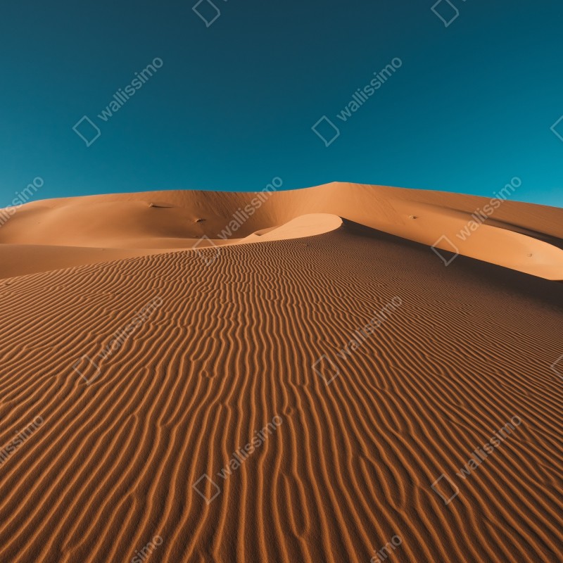 Naklejka na lodówkę złote wydmy pod głębokim niebem – Wallissimo® Naklejka na lodówkę złote wydmy pod głębokim niebem – Wallissimo®