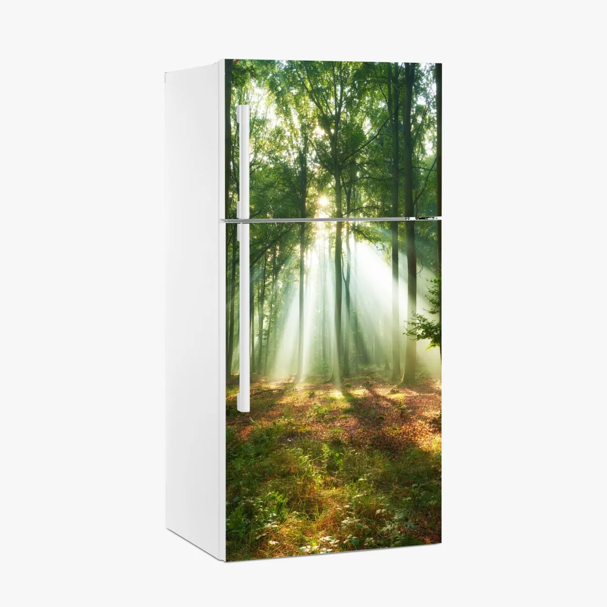 Naklejka na lodówkę poranne światło w lesie – Wallissimo® Naklejka na lodówkę poranne światło w lesie – Wallissimo®