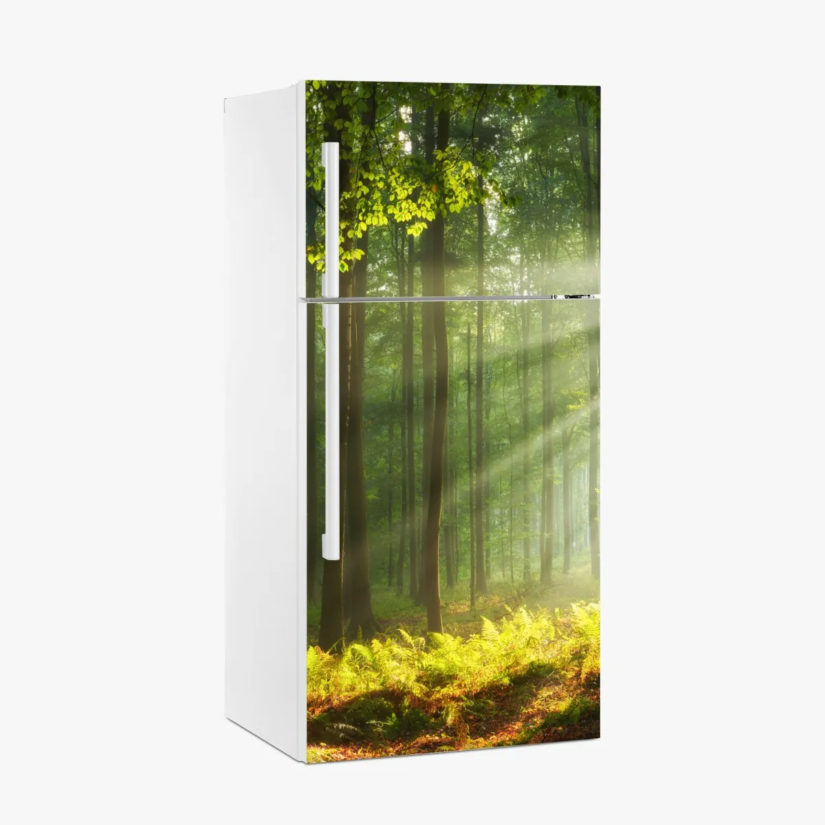 Naklejka na lodówkę poranne światło w lesie – Wallissimo® Naklejka na lodówkę poranne światło w lesie – Wallissimo®