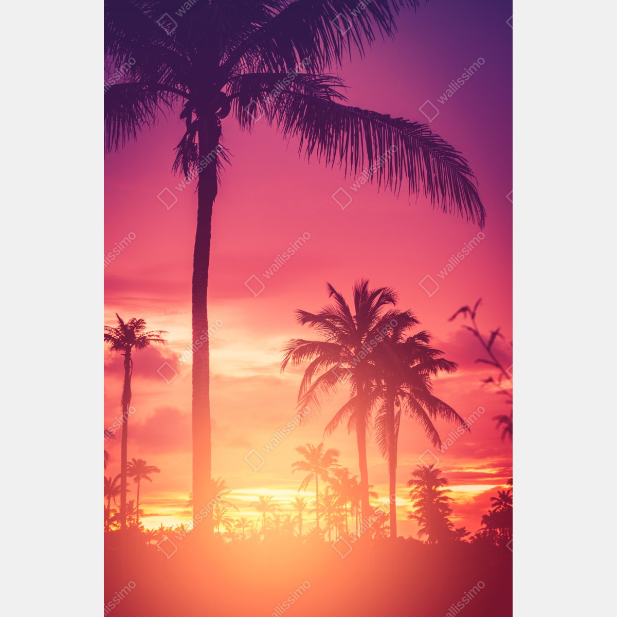Naklejka na lodówkę tropikalny zachód słońca z palmami – Wallissimo® Naklejka na lodówkę tropikalny zachód słońca z palmami – Wallissimo®