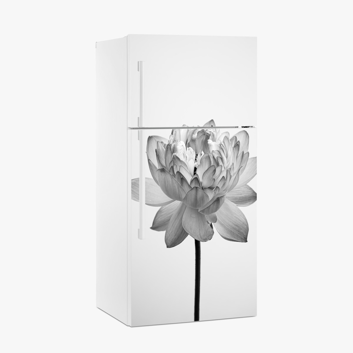 Fridge sticker serene lotus in grayscale – Wallissimo®