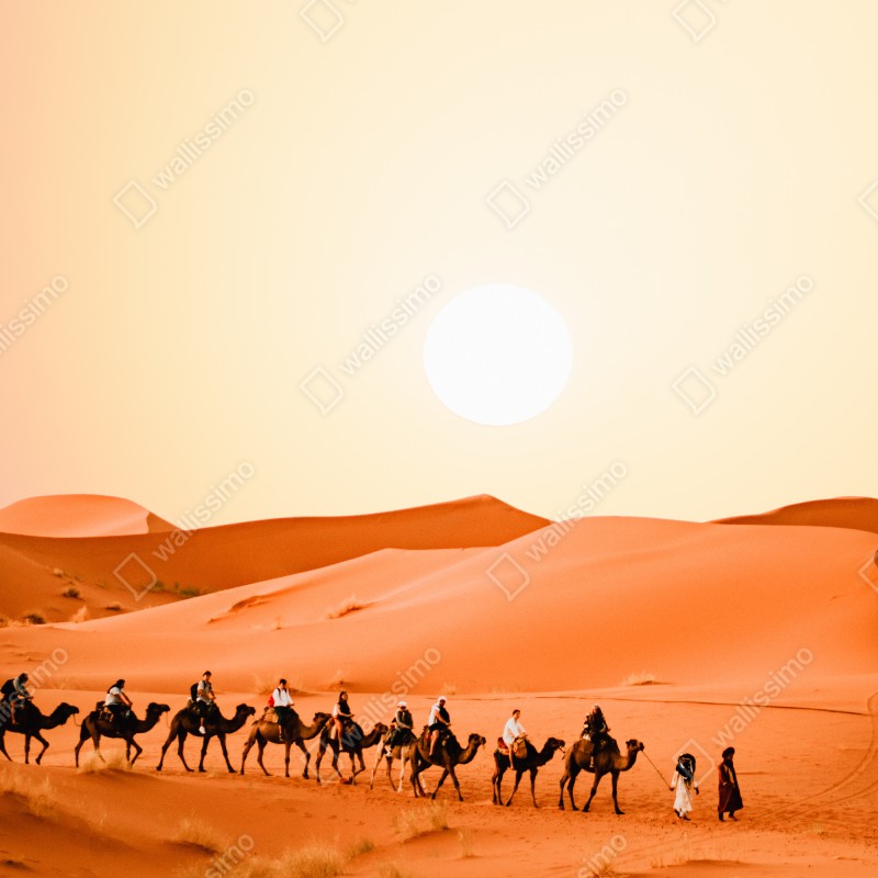 Naklejka na lodówkę karawana wielbłądów o zachodzie słońca na pustyni – Wallissimo® Naklejka na lodówkę karawana wielbłądów o zachodzie słońca na pustyni – Wallissimo®