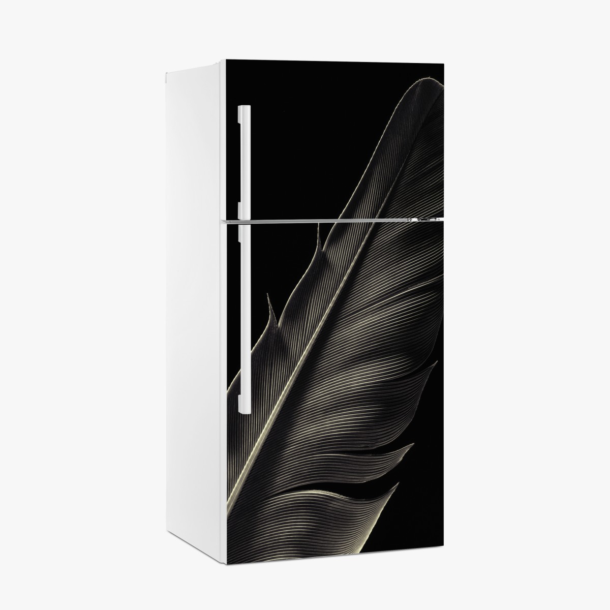 Fridge sticker delicate feather study in monochrome – Wallissimo®