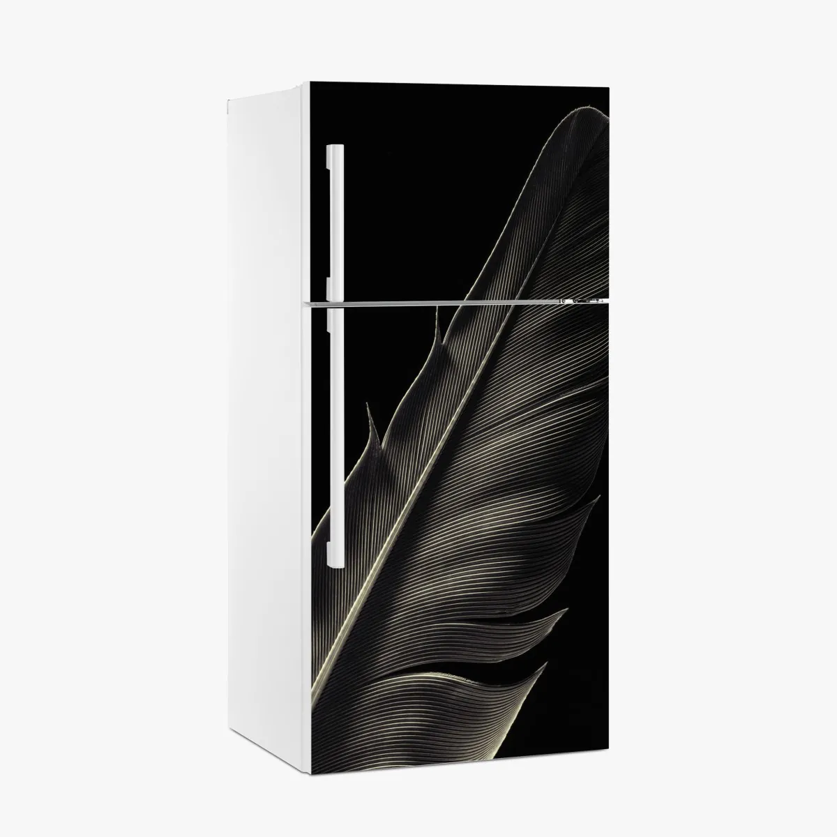 Naklejka na lodówkę delikatne pióro w makrofotografii – Wallissimo® Naklejka na lodówkę delikatne pióro w makrofotografii – Wallissimo®