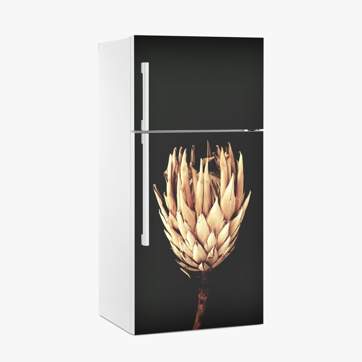 Fridge sticker vintage protea bloom in sepia – Wallissimo®