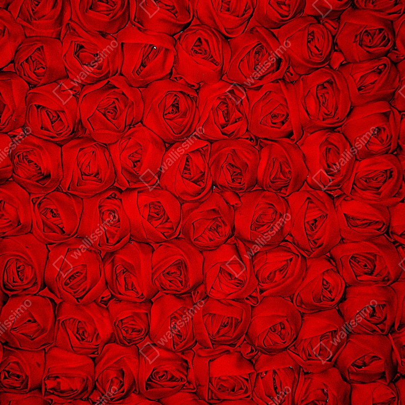 Naklejka na lodówkę nieskończone czerwone róże – Wallissimo® Naklejka na lodówkę nieskończone czerwone róże – Wallissimo®