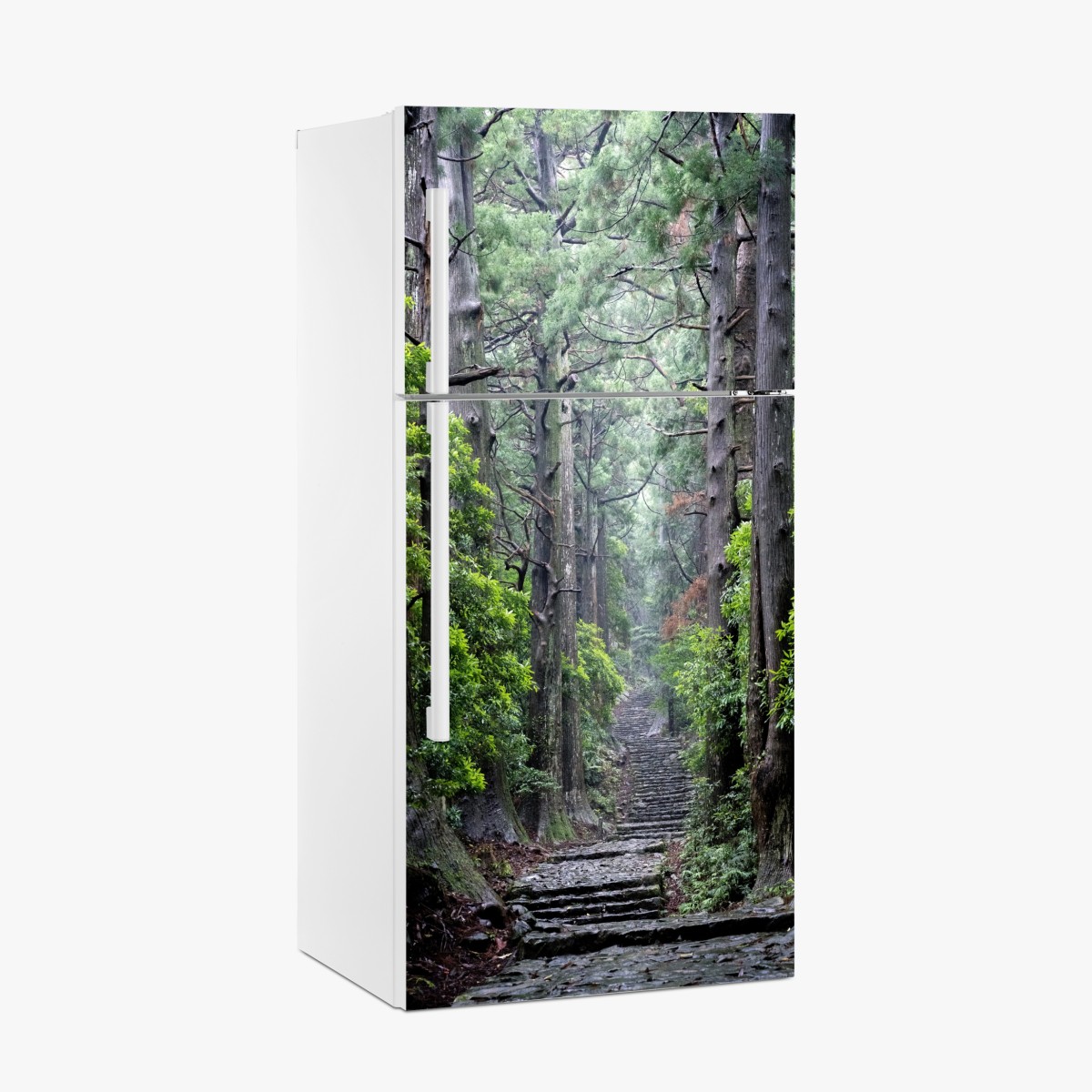 Fridge sticker misty forest path through ancient trees – Wallissimo®