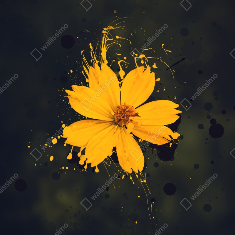 Naklejka na lodówkę intensywny żółty kwiat na ciemnym tle – Wallissimo® Naklejka na lodówkę intensywny żółty kwiat na ciemnym tle – Wallissimo®