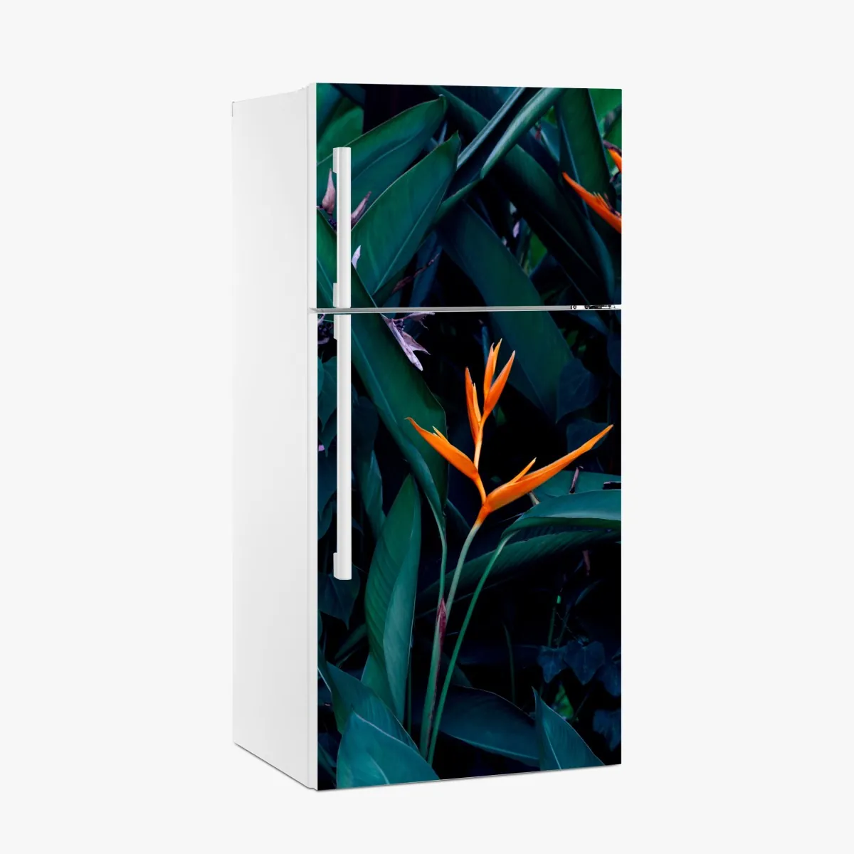 Naklejka na lodówkę żywa strelicja na tle ciemnozielonych liści – Wallissimo® Naklejka na lodówkę żywa strelicja na tle ciemnozielonych liści – Wallissimo®