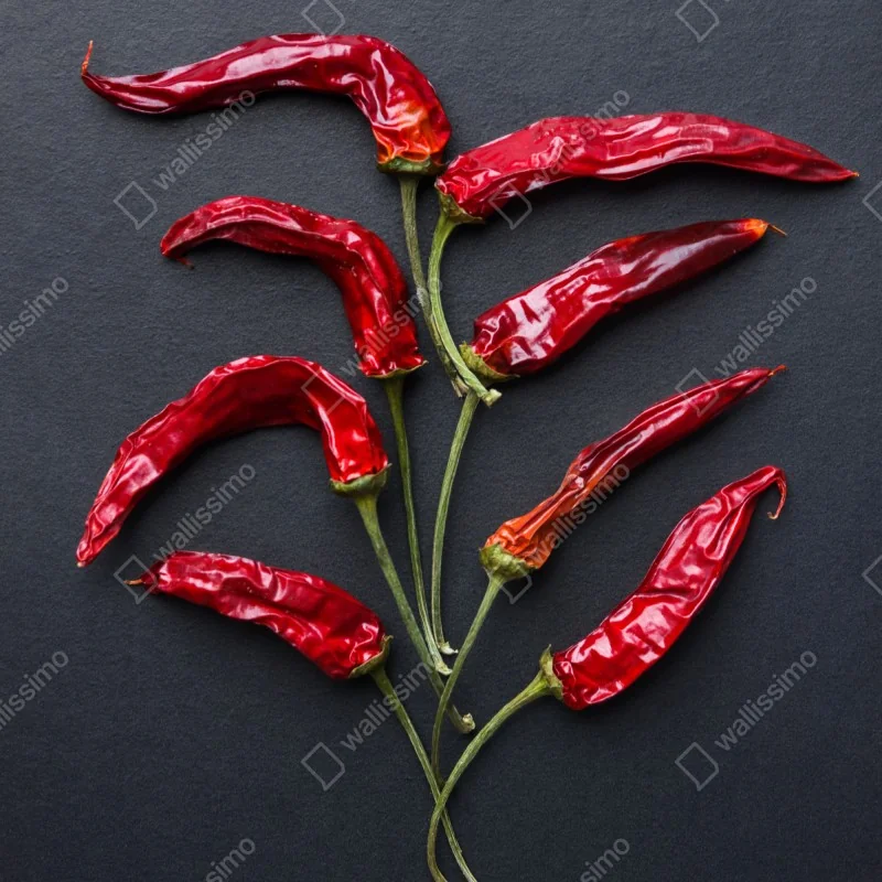 Naklejka na lodówkę kulinarna grafika z czerwonych papryczek chili – Wallissimo® Naklejka na lodówkę kulinarna grafika z czerwonych papryczek chili – Wallissimo®