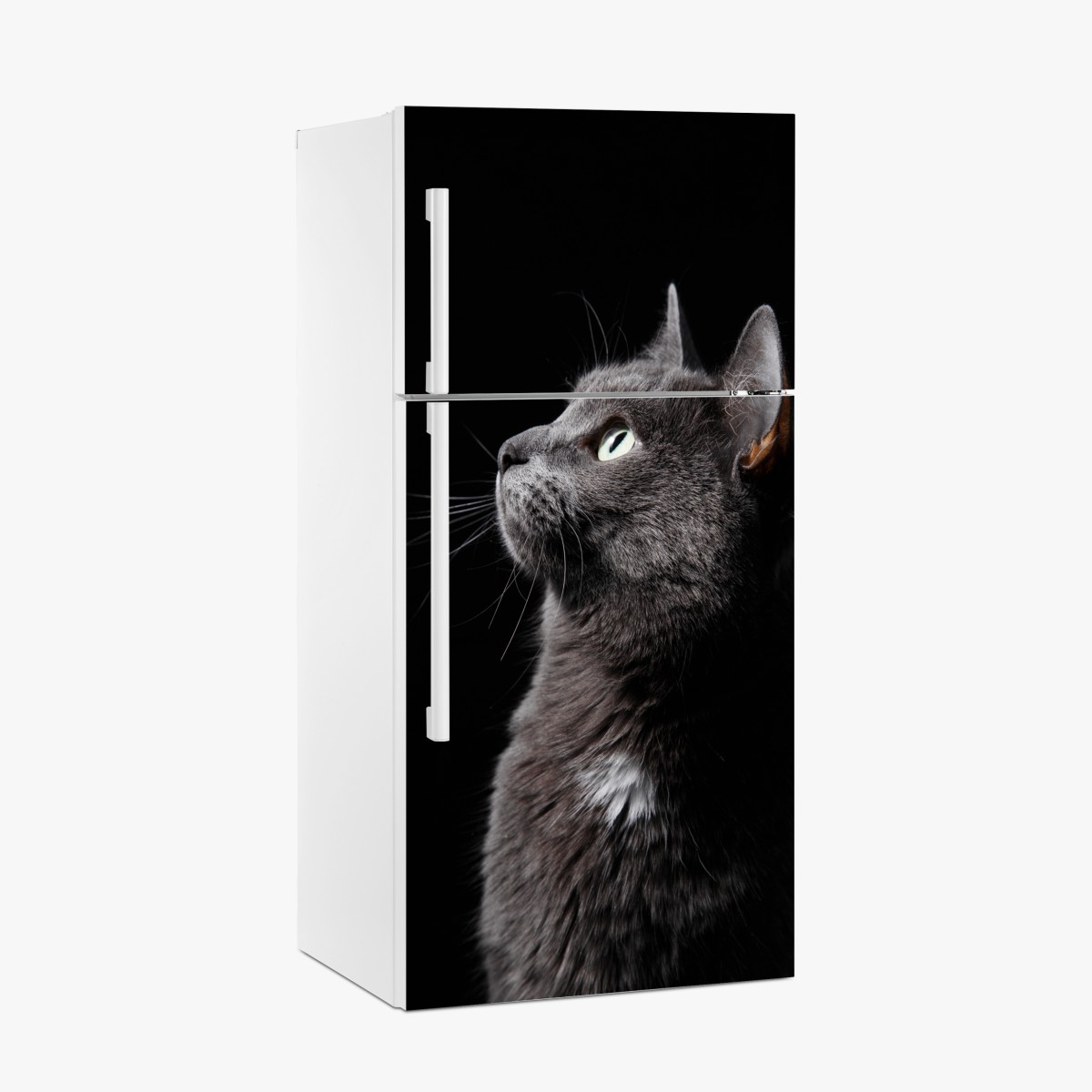 Fridge sticker elegant gray cat portrait – Wallissimo®