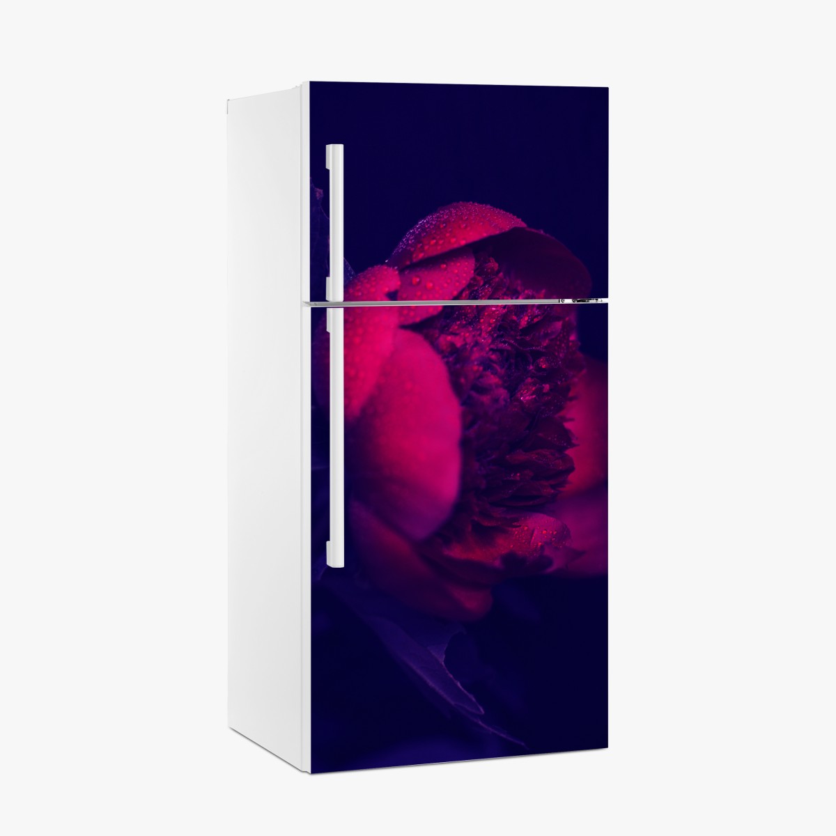Fridge sticker moody pink peony close-up – Wallissimo®