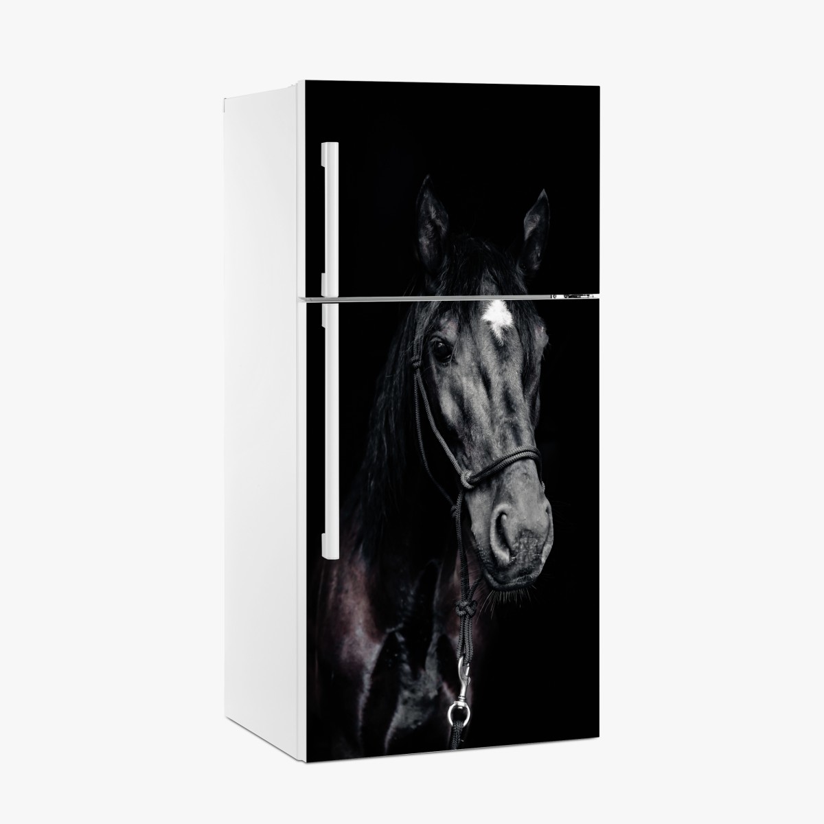 Fridge sticker majestic horse portrait – Wallissimo®