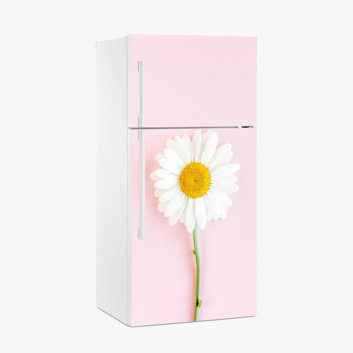 Naklejka na lodówkę biała stokrotka na pastelowym różowym tle – Wallissimo® Naklejka na lodówkę biała stokrotka na pastelowym różowym tle – Wallissimo®