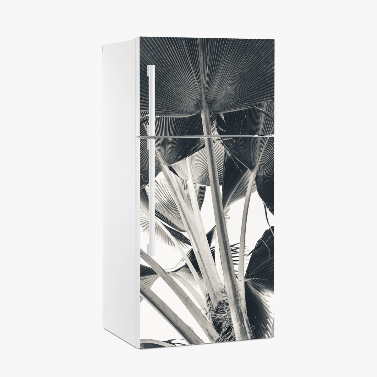 Fridge sticker tropical banana leaf composition – Wallissimo®