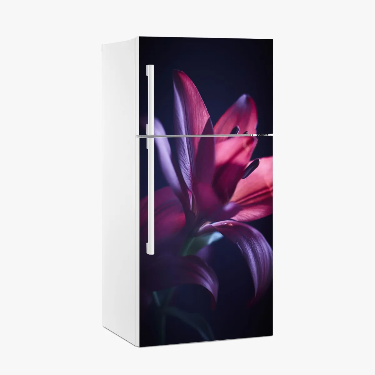 Naklejka na lodówkę czerwona lilia w półmroku – Wallissimo® Naklejka na lodówkę czerwona lilia w półmroku – Wallissimo®