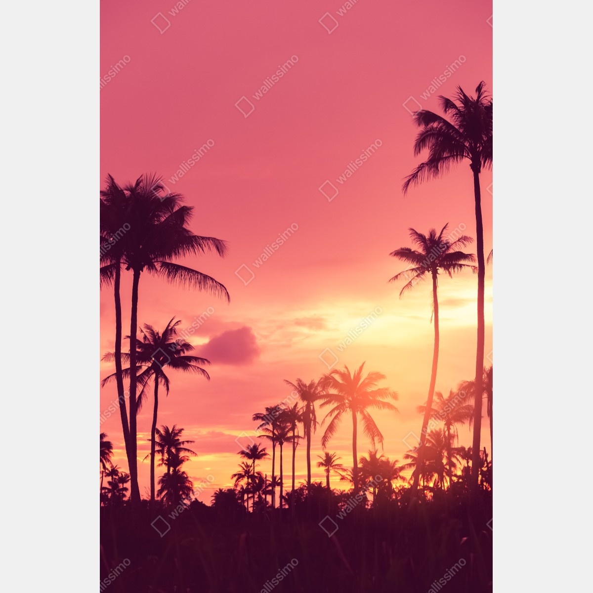 Naklejka na lodówkę różowy tropikalny zachód słońca z palmami – Wallissimo® Naklejka na lodówkę różowy tropikalny zachód słońca z palmami – Wallissimo®