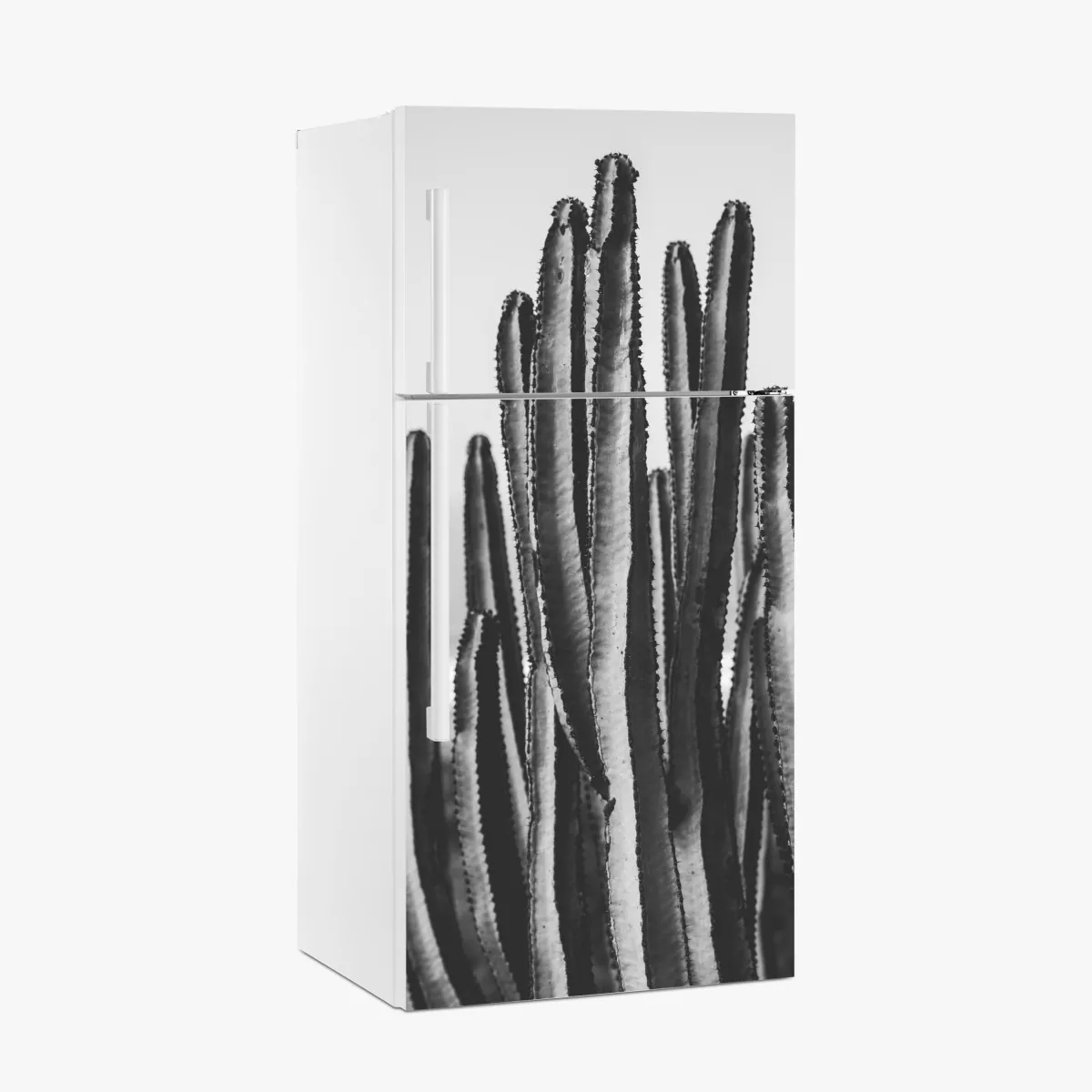 Naklejka na lodówkę czarno-biały kaktus w zbliżeniu – Wallissimo® Naklejka na lodówkę czarno-biały kaktus w zbliżeniu – Wallissimo®